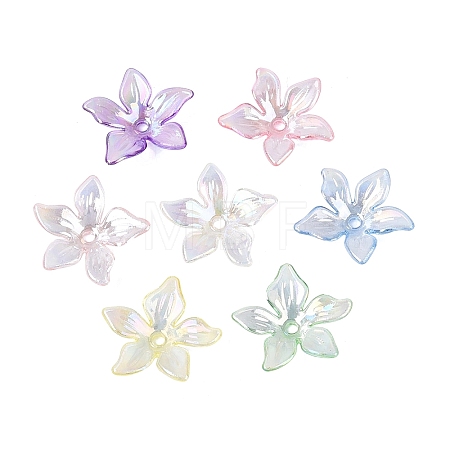 Transparent Plastic Bead Caps KY-N025-38-1