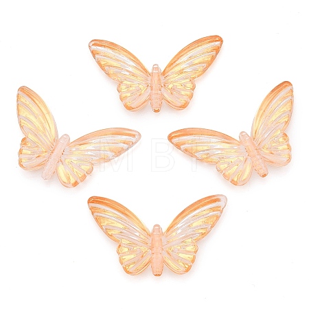 Transparent Acrylic Beads TACR-T028-14A-1