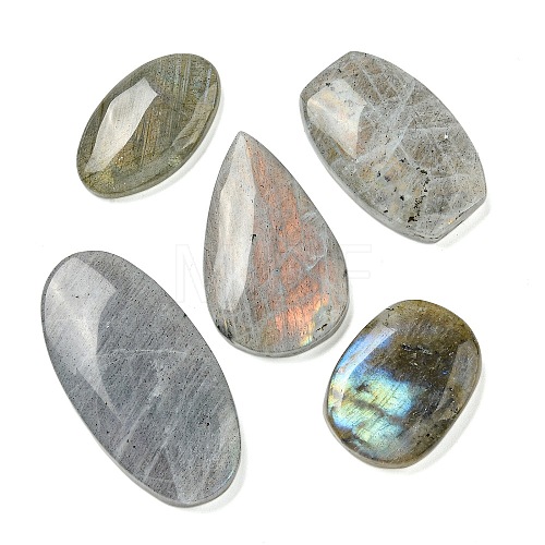 Natural Labradorite Cabochons G-Q191-03-1