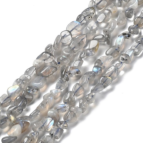 Natural Labradorite Beads Strands G-P497-01A-03-1