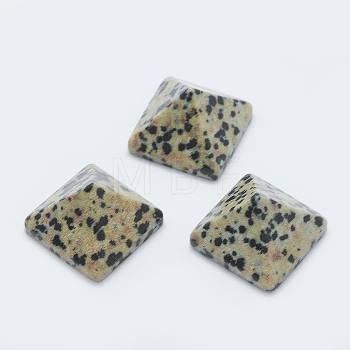 Natural Dalmatian Jasper Cabochons G-G759-Y07-1