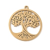 304 Stainless Steel Pendants STAS-V016-11G-1