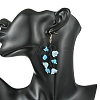 Glass Seed with Natural South Red Agate & Synthetic Turquoise & Natural Rose Quartz Dangle Cluster Earrings EJEW-MZ00726-4