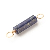 Natural Lapis Lazuli Connector Charms PALLOY-JF01565-04-4