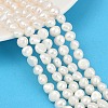 Natural Cultured Freshwater Pearl Beads Strands PEAR-P064-20B-07A-02-1