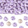 Preciosa® MAXIMA Crystal Fancy Stones X-PRC-FC10-20310-1