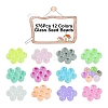 576Pcs 12 Colors Glass Seed Beads SEED-FS0001-25-2