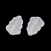 Frosted Transparent Acrylic Beads OACR-P029-04B-01-3