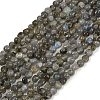 Natural Labradorite Beads Strands G-Q060-B02-2
