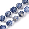 Natural Blue Spot Jasper Beads Strands G-O201B-141G-2