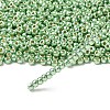 TOHO 6/0 Round Beads X-SEED-TR06-PF0560-2