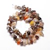 Natural Botswana Agate Chip Beads Strands G-E271-104-2