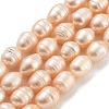 Natural Cultured Freshwater Pearl Beads Strands PEAR-P062-13B-2