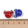 Handmade Lampwork Beads LAMP-A008-06-3