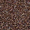 MIYUKI Delica Beads SEED-MY11-DB1759-3