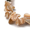 Natural Trochid Shell/Trochus Shell Beads Strands SHEL-B003-02A-3