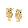 Brass Micro Pave Clear Cubic Zirconia Owl Stud Earrings EJEW-F400-15G-4