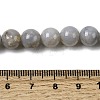 Natural Gemstone Beads Strands G-L641-A01-02-5