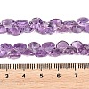 Natural Amethyst Beads Strands G-Z152-B01-02-5