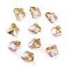 Transparent Electroplate Glass Beads GLAA-P037-02A-PL01-1
