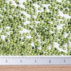 MIYUKI Round Rocailles Beads SEED-X0054-RR0350-4