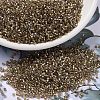 MIYUKI Delica Beads SEED-MY11-DB2396-1