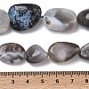Natural Botswana Agate Beads Strands G-L650-D03-04-5