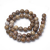 Natural Petrified Wood Beads Strands G-Q462-136-8mm-2