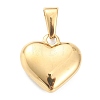 304 Stainless Steel Pendants STAS-P278-01L-G-2