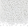 200G Glass Seed Beads SEED-SP0001-14B-01-1