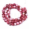 Natural Freshwater Shell Beads Strands SHEL-S276-110A-06-2