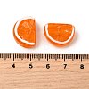 Handmade Lampwork Beads X-LAMP-S079-12B-4
