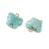 Natural Amazonite Pendants KK-D289-61G-04-2