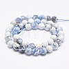 Faceted Natural Fire Crackle Agate Beads Strands G-F447-8mm-B09-2