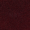 15/0 Transparent Czech Glass Seed Beads SEED-N004-004-28-4