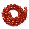 Dyed Natural Agate Beads Strands G-T141-16A-01-3