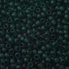 TOHO Round Seed Beads SEED-JPTR08-0939F-2