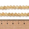 Natural Yellow Garnet Beads Strands G-Z129-C01-6mm-02-5