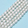 Natural Cultured Freshwater Pearl Beads Strands PEAR-J006-07F-2