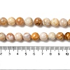 Natural Crazy Agate Beads Strands G-H298-A12-04-5