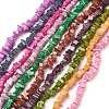 Spray Painted Freshwater Shell Beads Strands BSHE-L037-08-1