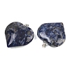 Natural Sodalite Pendants GG-K002-04J-2