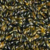 Glass Seed Beads SEED-T009-02C-3
