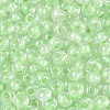 FGB Inside Colours Transparent Glass Seed Beads SEED-T009-01B-2