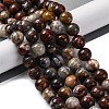 Natural Mexico Crazy Agate Beads Strands G-L615-A01-04-2