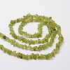 Grade A Natural Peridot Chip Bead Strands G-M298-05-2