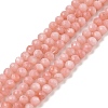 Natural Freshwater Shell Dyed Beads Strands SHEL-R100-12A-03-1