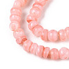 Natural Freshwater Shell Dyed Beads Strands SHEL-T020-29A-05-3