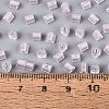 FGB Grade A Frosted Glass Seed Beads SEED-Q040-04A-04-6