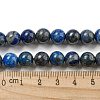 Natural Lapis Lazuli Beads Strands G-E483-17-8mm-7